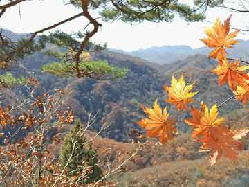 曲江马坝最新招工